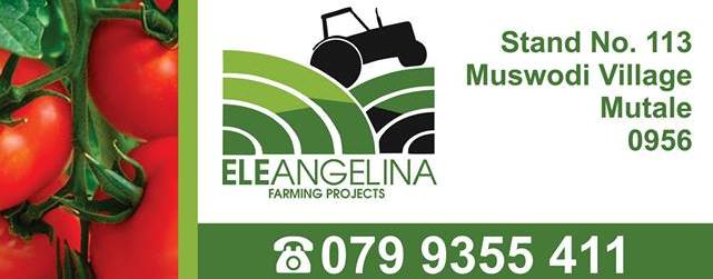 partner 1